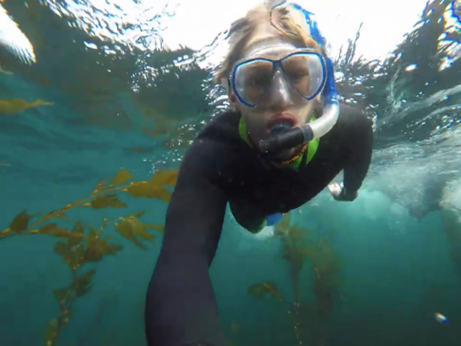 Jack Harris snorkels off the coast of Catalina Island.