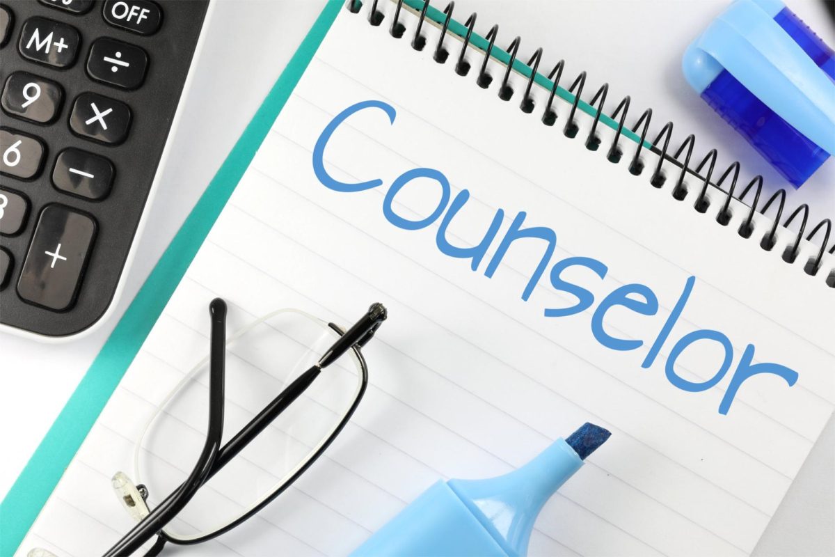 Unlocking success: the crucial role of school counseling