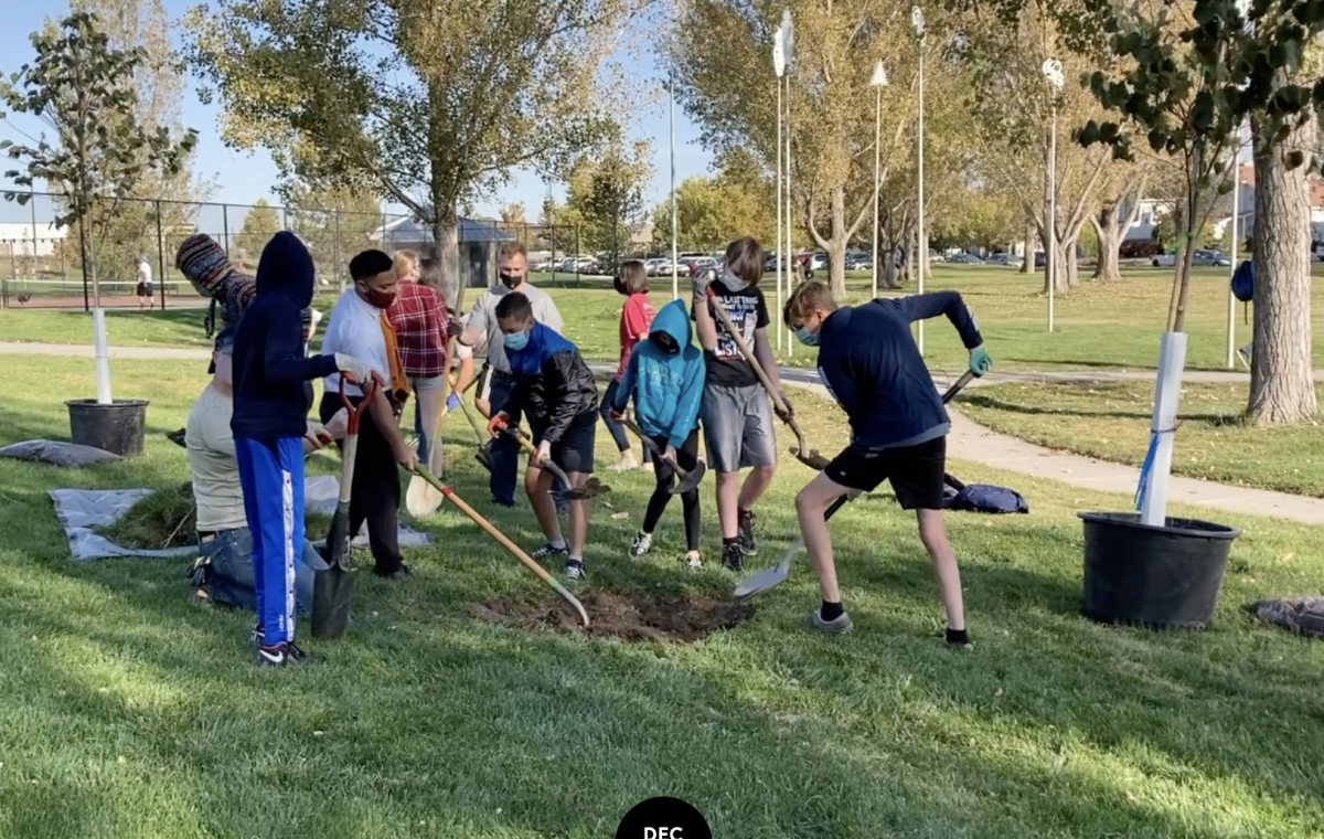 Volunteers plant a tree at Westpointe Park on October 10. Photo by Henry Frech.